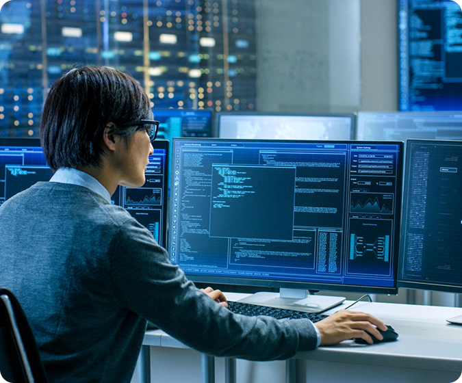 Custom Software & Platforms